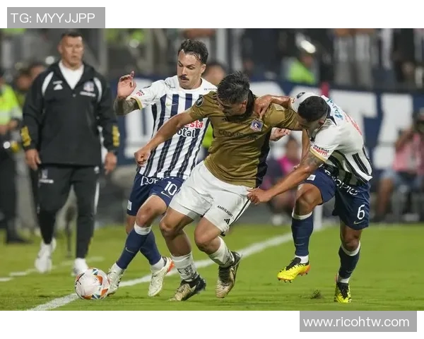 北方熊与中央海岸的激烈对决谁能在这场比赛中笑到最后